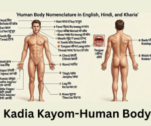 Kadia Kayom-Human Body